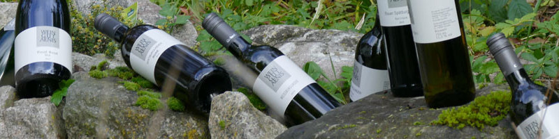 Weingut-aenis-weine7